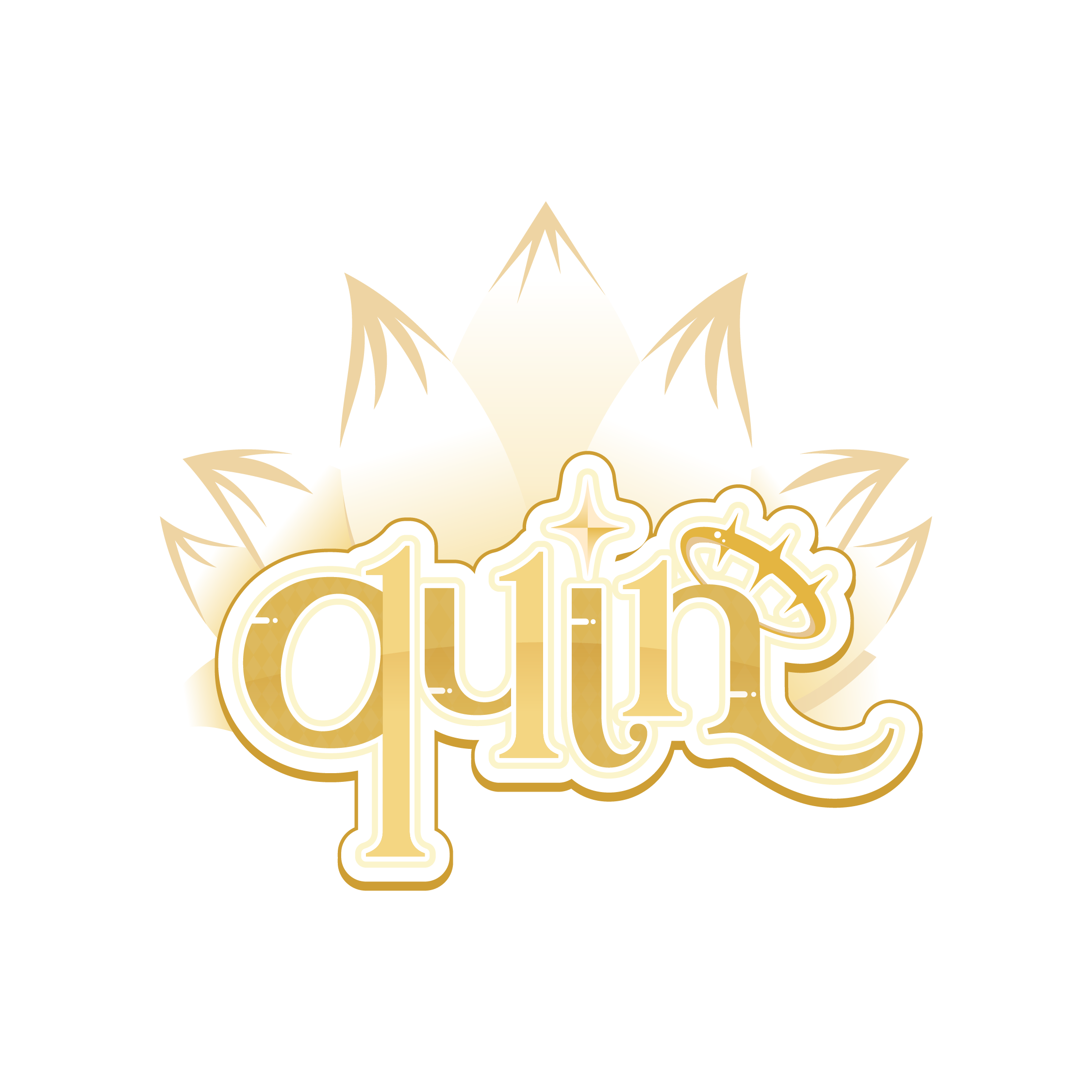 QUIN111 Logo